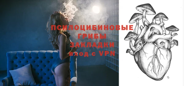 гашик Алзамай