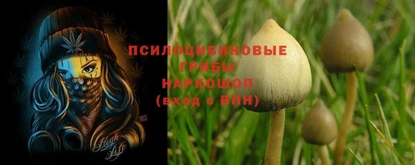 таблы Алексеевка