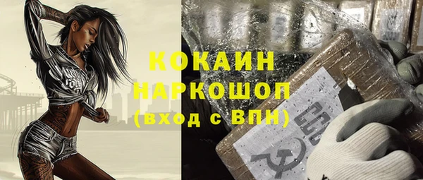 гашик Алзамай
